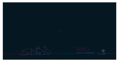 Laguna Bay Brochure 10