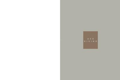 ACE Divino Brochure 19