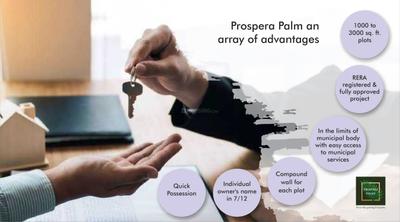 KBD Prospera Palms Brochure 21