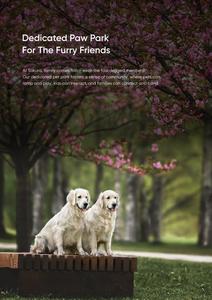 LS Sakura Brochure 13