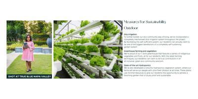 True Blue Napa Valley Brochure 26
