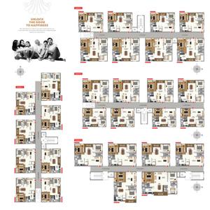 Risinia Oyster Brochure 2