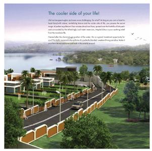 Maple Echtuo Brochure 11