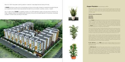 SK Daisy Brochure 4