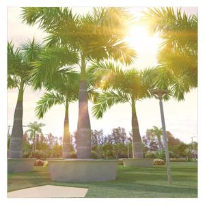Image of 2160 Sq.ft Residential Plot / Land for sale in Cadol R R Kollur County, Kollur, Hyderabad for Rs. 20500000