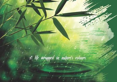 Migsun Green Mansion Brochure 1