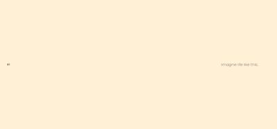PS Zen Brochure 3