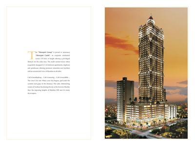 Shreepati Castle Commercial Brochure 2