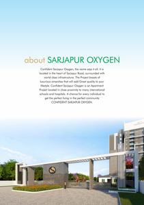 Confident Oxygen Brochure 2