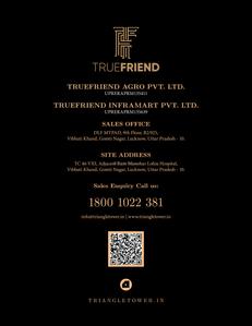 Truefriend Agro Triangle Tower Brochure 3