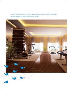 Modello Highs Brochure 17