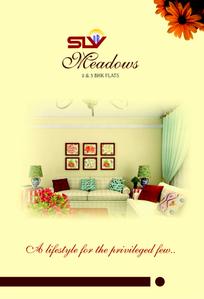 SLV Meadows Brochure 1