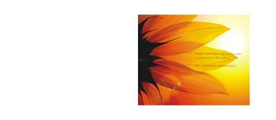 Beacon Colors Brochure 1