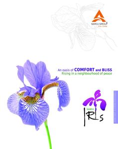 Saroj IRIS Brochure 1