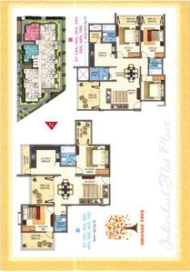 Sun Shine Orange Tree Brochure 13