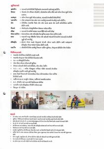 Sunrise Real Brochure 5
