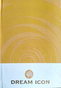 Al Dream Icon Brochure 1