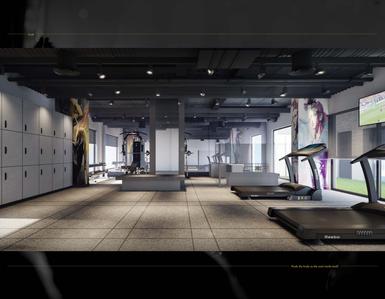 Darpan 88 Phase I Brochure 30