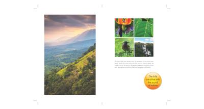Vikrant Estate Ruby Phase 2 Brochure 3