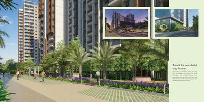 Pavani Mirabilia Brochure 6