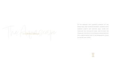 Ivory County Brochure 32