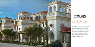 True Blue Napa Valley Brochure 4