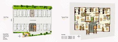 The Palm Brochure 4