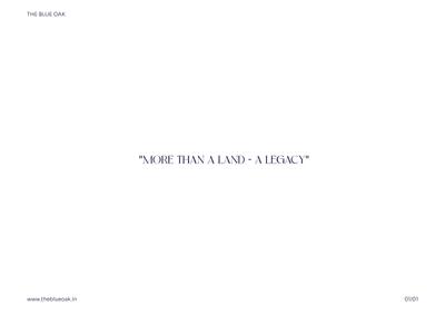 The Blue Oak Brochure 12