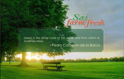 Sukriti Sai Farm Fresh Brochure 5