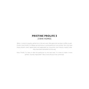 Pristine Prolife III Brochure 3