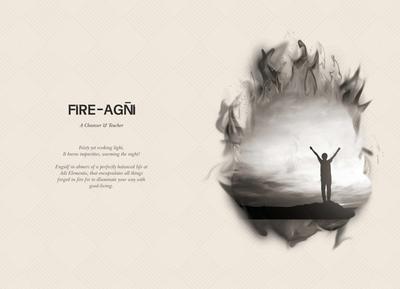 Adi Elementis Brochure 13