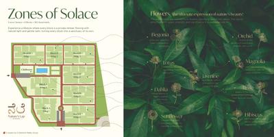 5 Elements Natures Lap Brochure 14