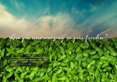 Image of 1720 Sq.ft Residential Plot / Land for sale in Naiknavare Avasa Meadows Talegaon, Talegaon Dabhade, Pune for Rs. 6650000