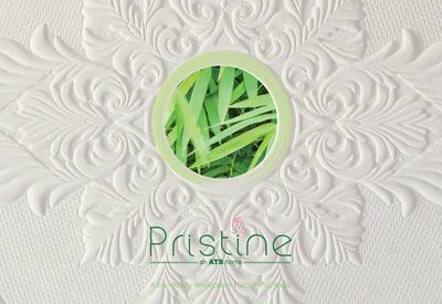 ATS Pristine Brochure 1