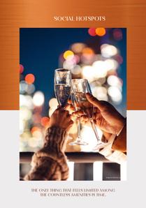 Birla Niyaara Phase 1 Brochure 14