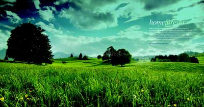 Image of 4775 Sq.ft 5 BHK Apartment / Flat for sale in Spectra Palmwoods, Brookefield, Bengaluru for Rs. 71625000