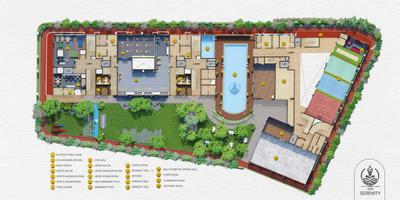 Ask Serinity Brochure 31