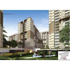 Brochure Images