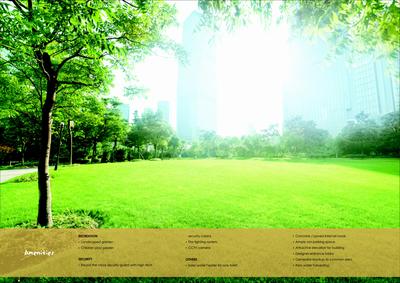 Pristine Viva Brochure 3
