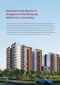 LS Sakura Brochure 5