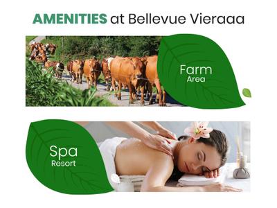 Davda Bellevue Vieraaa Brochure 14