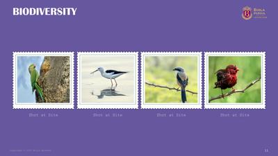 Birla Punya Phase II Brochure 11