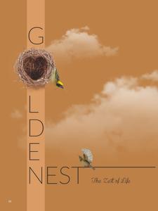 Shreenath Golden Nest Brochure 1