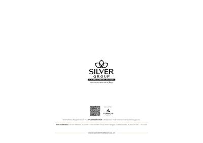 Silver Meteor Brochure 1