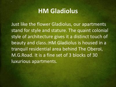 HM Gladiolus Brochure 2