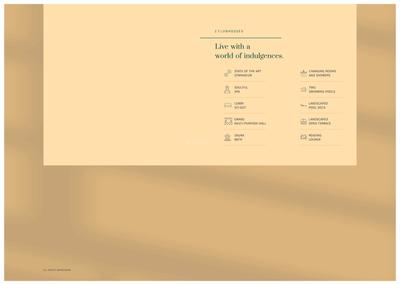 SS One Brochure 5