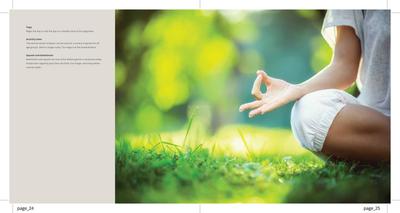 VTP Hi Life Phase 2 Brochure 13