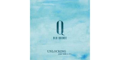 Blu Quince Brochure 2