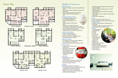 Plama Grande Brochure 4