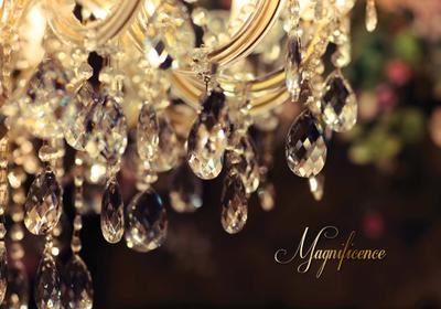 Exotic Grandeur Brochure 4